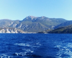 ΒΟΛΤΕΣ ΓΥΡΩ ΑΠ ΤΟ ΛΟΥΤΡΑΚΙ: ΣΧΙΝΟΣ