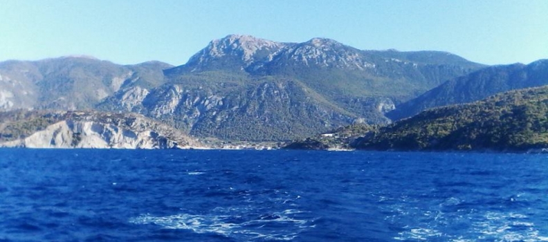 ΒΟΛΤΕΣ ΓΥΡΩ ΑΠ ΤΟ ΛΟΥΤΡΑΚΙ: ΣΧΙΝΟΣ